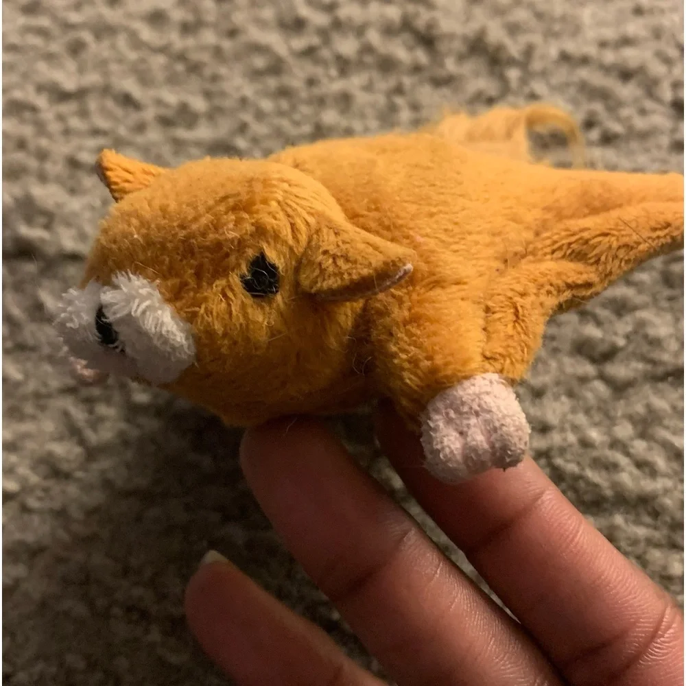 Flying Squirrel Cat Toy